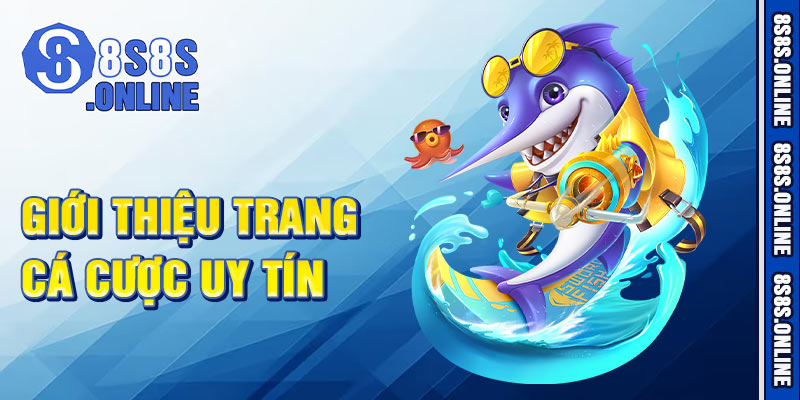 Giới Thiệu Trang Cá Cược Uy Tín 8S